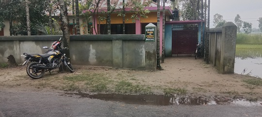 image-here